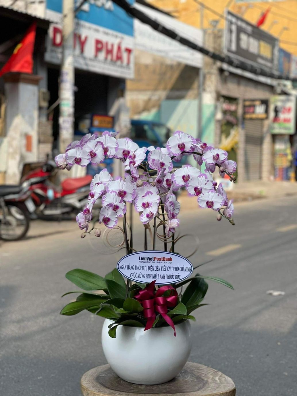 Thiên niên vạn lộc 01