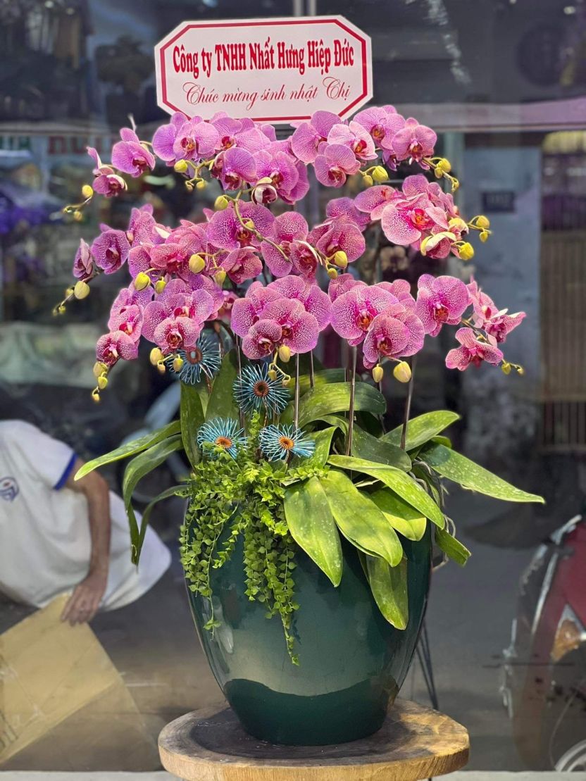 Lộc trường phát 02