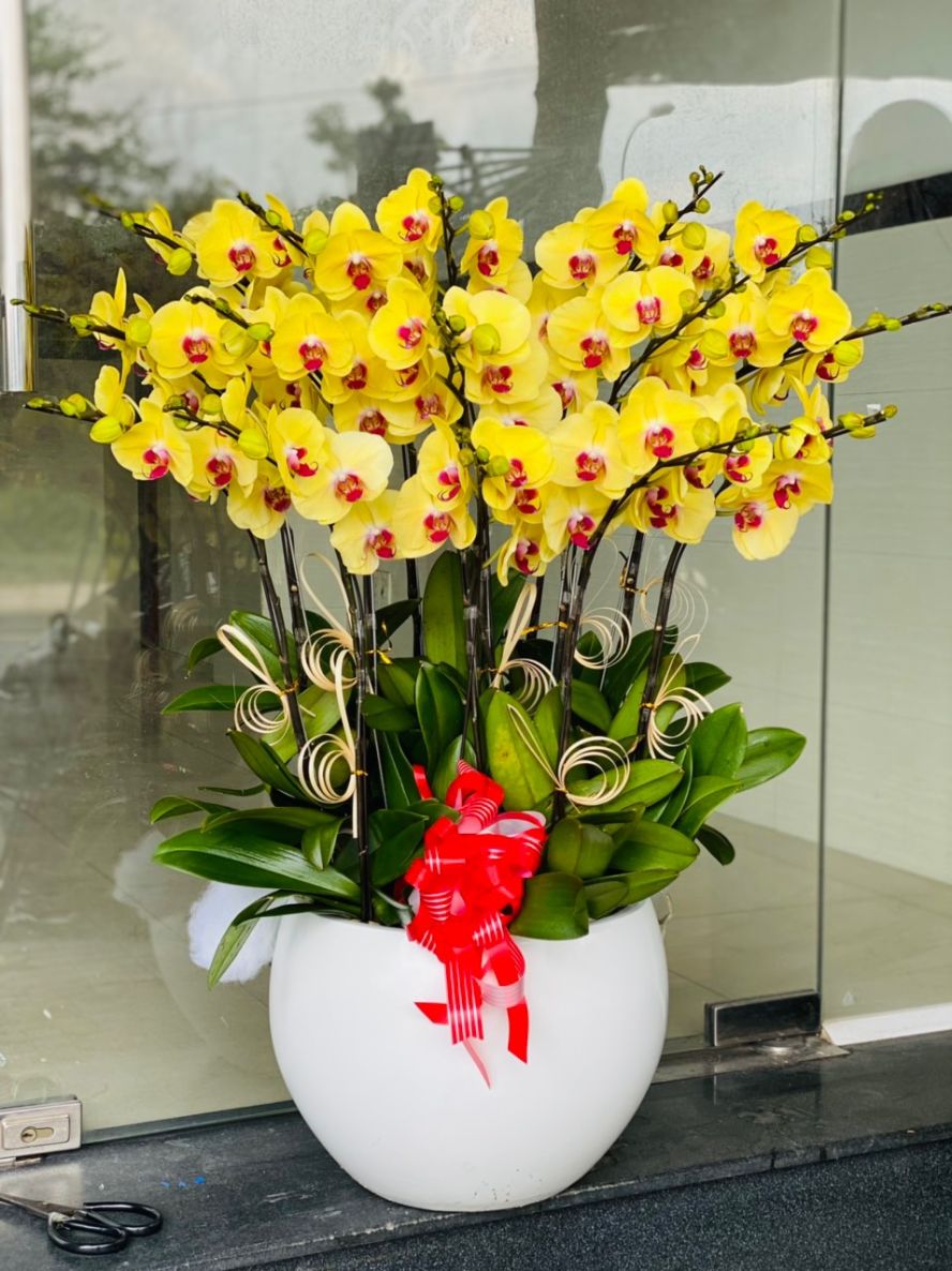 Thiên niên vạn lộc 04